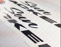 Sun Tracker Boat Decal Set of 2